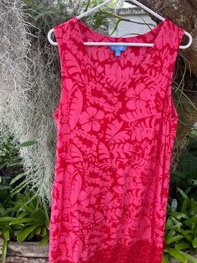 Blue Ginger Women’s Pink Long Dress Size Large